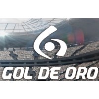 Gol de Oro logo, Gol de Oro contact details