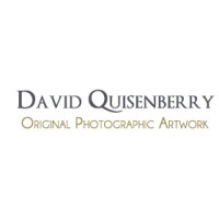 David Quisenberry Photography logo, David Quisenberry Photography contact details