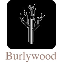 Burlywood Tech logo, Burlywood Tech contact details