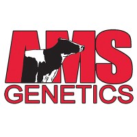 AMS Genetics International LLC logo, AMS Genetics International LLC contact details