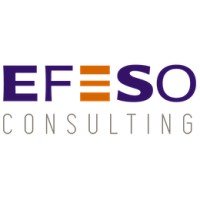 EFESO Middle East and Africa logo, EFESO Middle East and Africa contact details