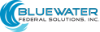 BlueWater Federal Solutions logo, BlueWater Federal Solutions contact details