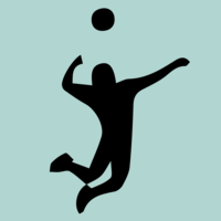 Just Spike It Volleyball Academy logo, Just Spike It Volleyball Academy contact details