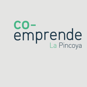 Co-Emprende logo, Co-Emprende contact details