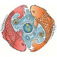 The Balance Center for Natural Health logo, The Balance Center for Natural Health contact details