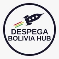 Despega Bolivia Hub logo, Despega Bolivia Hub contact details