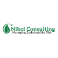 Niboi Consulting logo, Niboi Consulting contact details