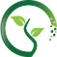 Digiseed logo, Digiseed contact details