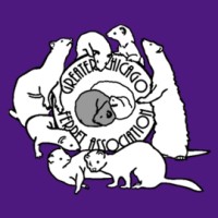 Greater Chicago Ferret Association logo, Greater Chicago Ferret Association contact details