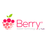 BerrySoft MX logo, BerrySoft MX contact details