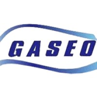 GASEO Medicina Ocupacional logo, GASEO Medicina Ocupacional contact details