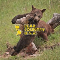 Bear Country USA logo, Bear Country USA contact details