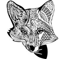 Spirit Foxes logo, Spirit Foxes contact details