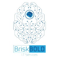 BriskBold IT Services logo, BriskBold IT Services contact details