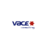 VACE Consulting logo, VACE Consulting contact details