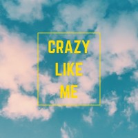 Crazy Like Me logo, Crazy Like Me contact details