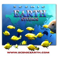 Scenic Earth Studios Fine Art Gallery logo, Scenic Earth Studios Fine Art Gallery contact details