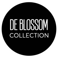 Blossom Footwear logo, Blossom Footwear contact details