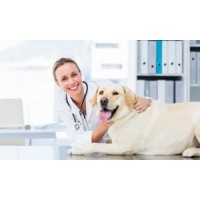 PENINSULA PET CLINIC INC logo, PENINSULA PET CLINIC INC contact details