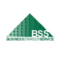 BSS Consultores logo, BSS Consultores contact details