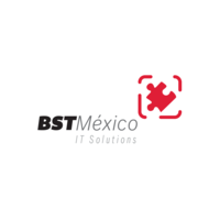 BST MEXICO logo, BST MEXICO contact details