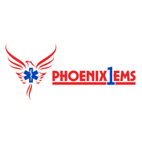 PHOENIX 1 EMS logo, PHOENIX 1 EMS contact details