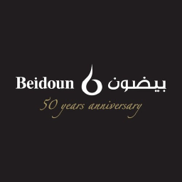 Beidoun Trading Co logo, Beidoun Trading Co contact details