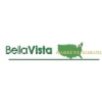 Bella Vista Group, Inc. logo, Bella Vista Group, Inc. contact details