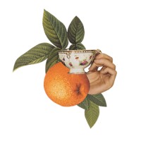 Tea & Oranges logo, Tea & Oranges contact details