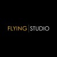 FLYING STUDIO logo, FLYING STUDIO contact details