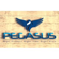 Pegasus Enterprise Holdings logo, Pegasus Enterprise Holdings contact details