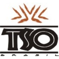 TSO Brasil logo, TSO Brasil contact details