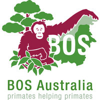 Borneo Orangutan Survival logo, Borneo Orangutan Survival contact details