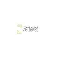 ZettaNet logo, ZettaNet contact details