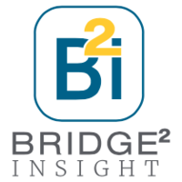 Bridge 2 Insight logo, Bridge 2 Insight contact details