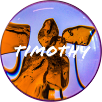 Timothy B Connell logo, Timothy B Connell contact details