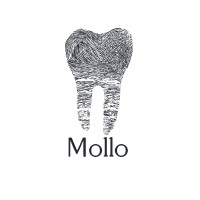 Mollo - Consultoria e Soluções em Odontologia Legal logo, Mollo - Consultoria e Soluções em Odontologia Legal contact details