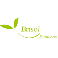 Semilleria Brisol logo, Semilleria Brisol contact details