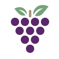 Grape Software SRL logo, Grape Software SRL contact details