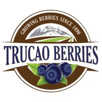 TrucaoBerries logo, TrucaoBerries contact details