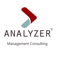 Analyzer Management Consulting logo, Analyzer Management Consulting contact details