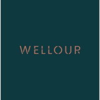 Wellour Couros logo, Wellour Couros contact details