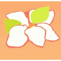 Magnolia Women's Recovery Program logo, Magnolia Women's Recovery Program contact details