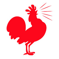 Roost Chicken & Biscuits logo, Roost Chicken & Biscuits contact details