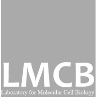 MRC Laboratory for Molecular Cell Biology (LMCB), UCL logo, MRC Laboratory for Molecular Cell Biology (LMCB), UCL contact details