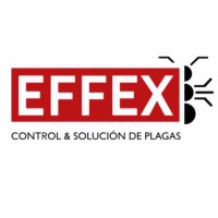 Effex Control & Solución de Plagas logo, Effex Control & Solución de Plagas contact details