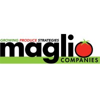 Maglio Companies logo, Maglio Companies contact details