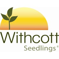 WITHCOTT GROUP PTY LTD logo, WITHCOTT GROUP PTY LTD contact details