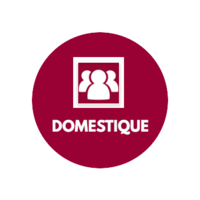 DomestiQue logo, DomestiQue contact details