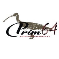 PRIM64 logo, PRIM64 contact details